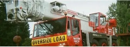 Slide of Western Crane