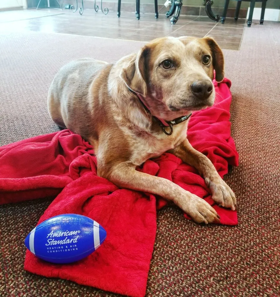 Slide of Western Heating & Cooling