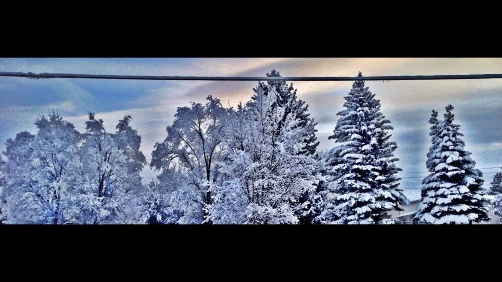 Slide of Western Mechanical-Logan