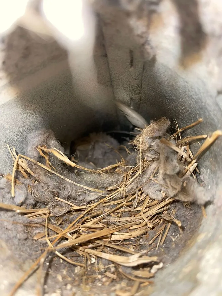 Slide of Westlake Ducts Austin