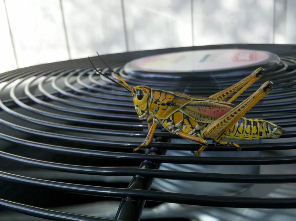 Slide of Westwind Air