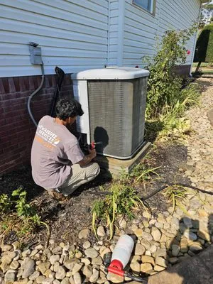 Wewasquez services Logo