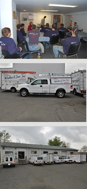 Slide of Whalen & Ives