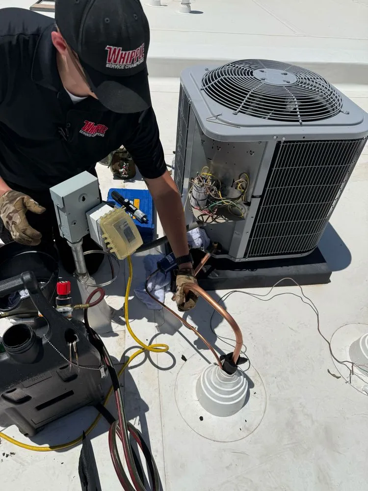 Slide of Whipple Service Champions