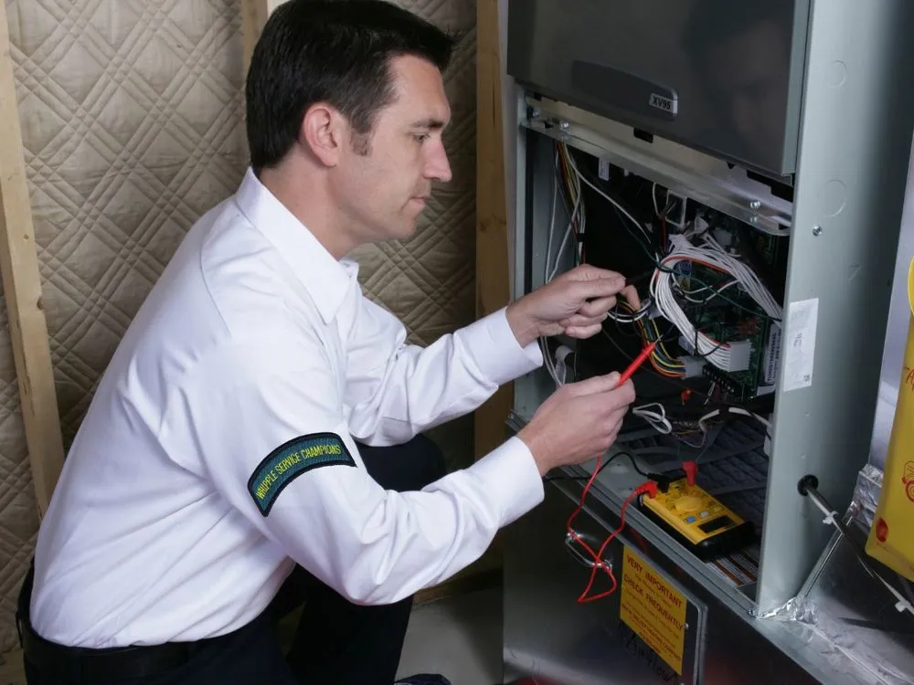 Slide of Whipple Service Champions