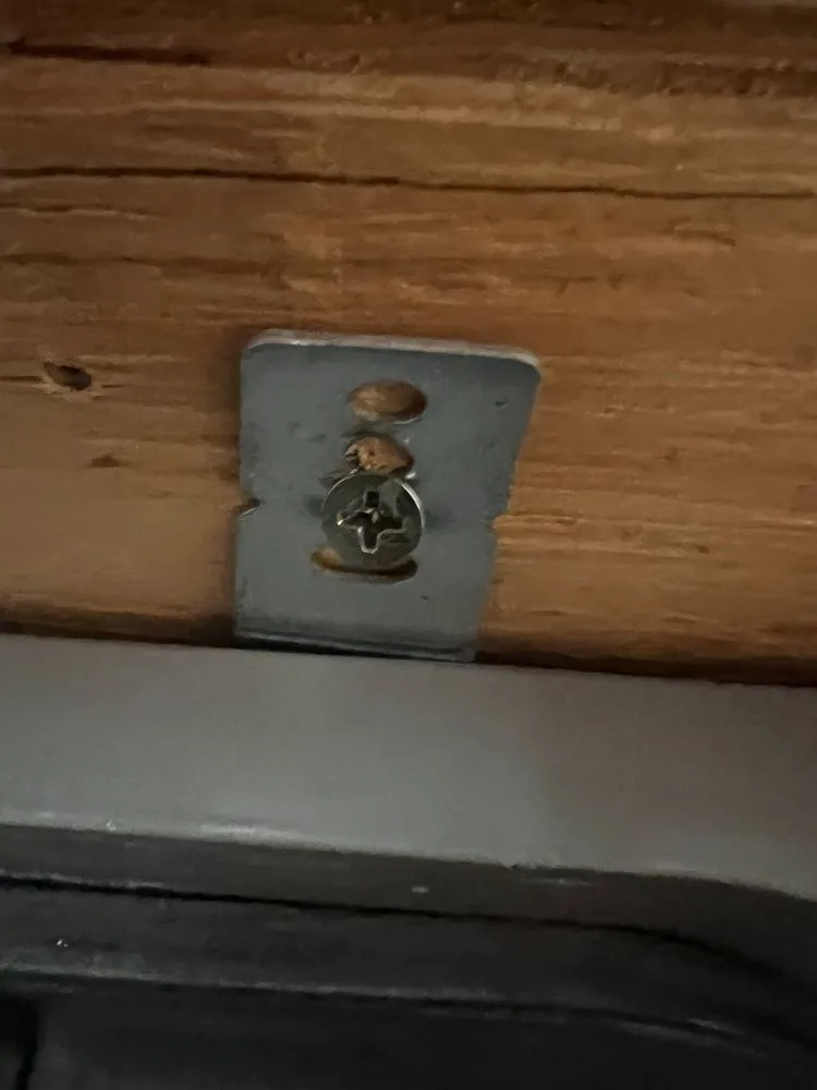 Slide of Whipple Service Champions