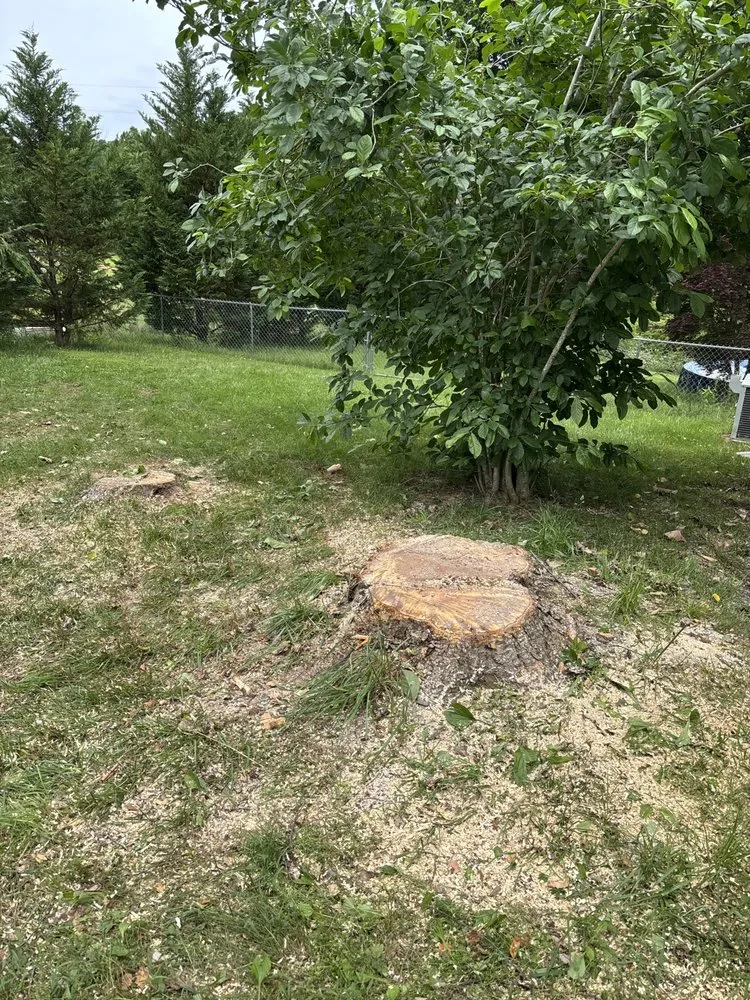 Slide of White County Tree Service