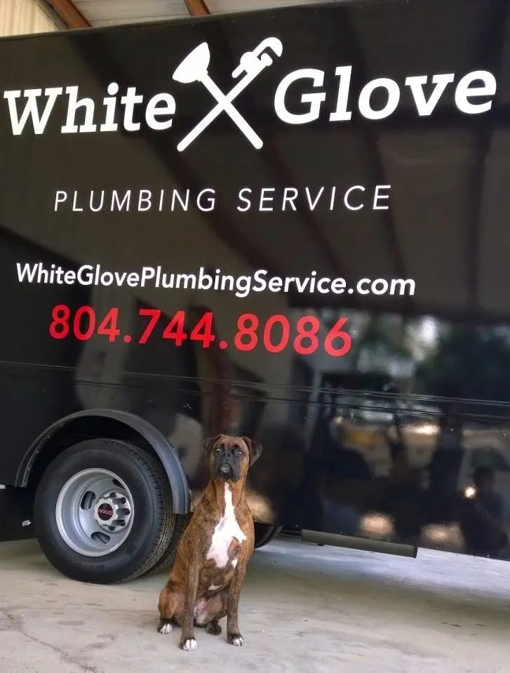 Slide of White Glove Plumbing