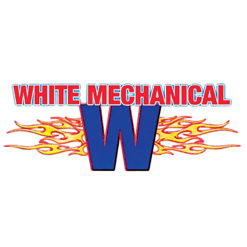 Slide of White Mechanical