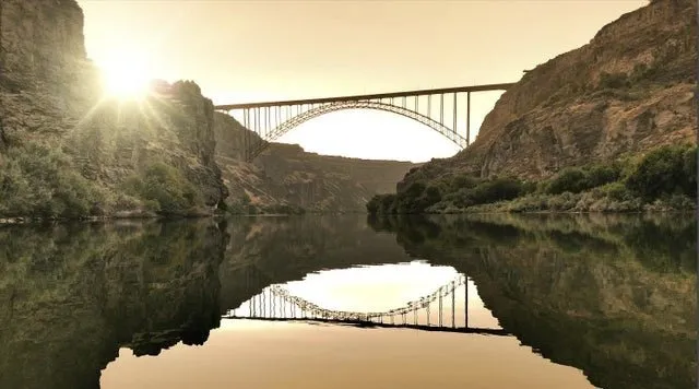 Slide of White Mechanical