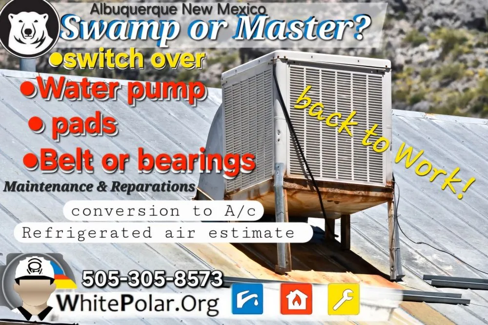 Slide of White Polar