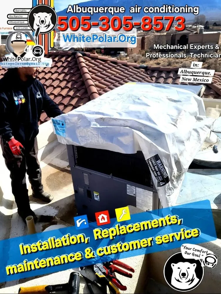 Slide of White Polar