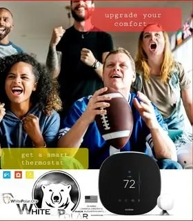 Slide of White Polar