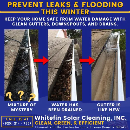 Slide of Whitefin Solar Cleaning