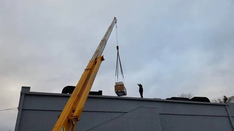 Slide of White's Mechanical