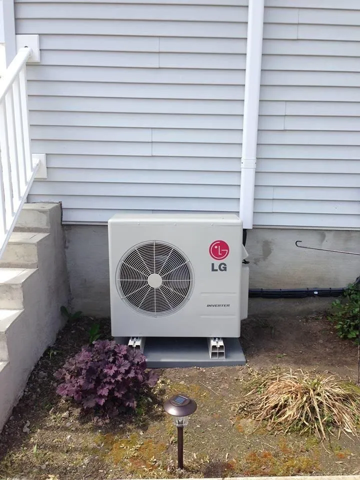 Slide of White's Mechanical