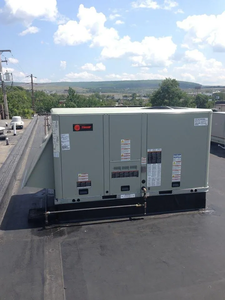 Slide of White's Mechanical