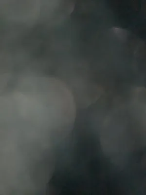 Whitlock Plumbing & Heating Logo