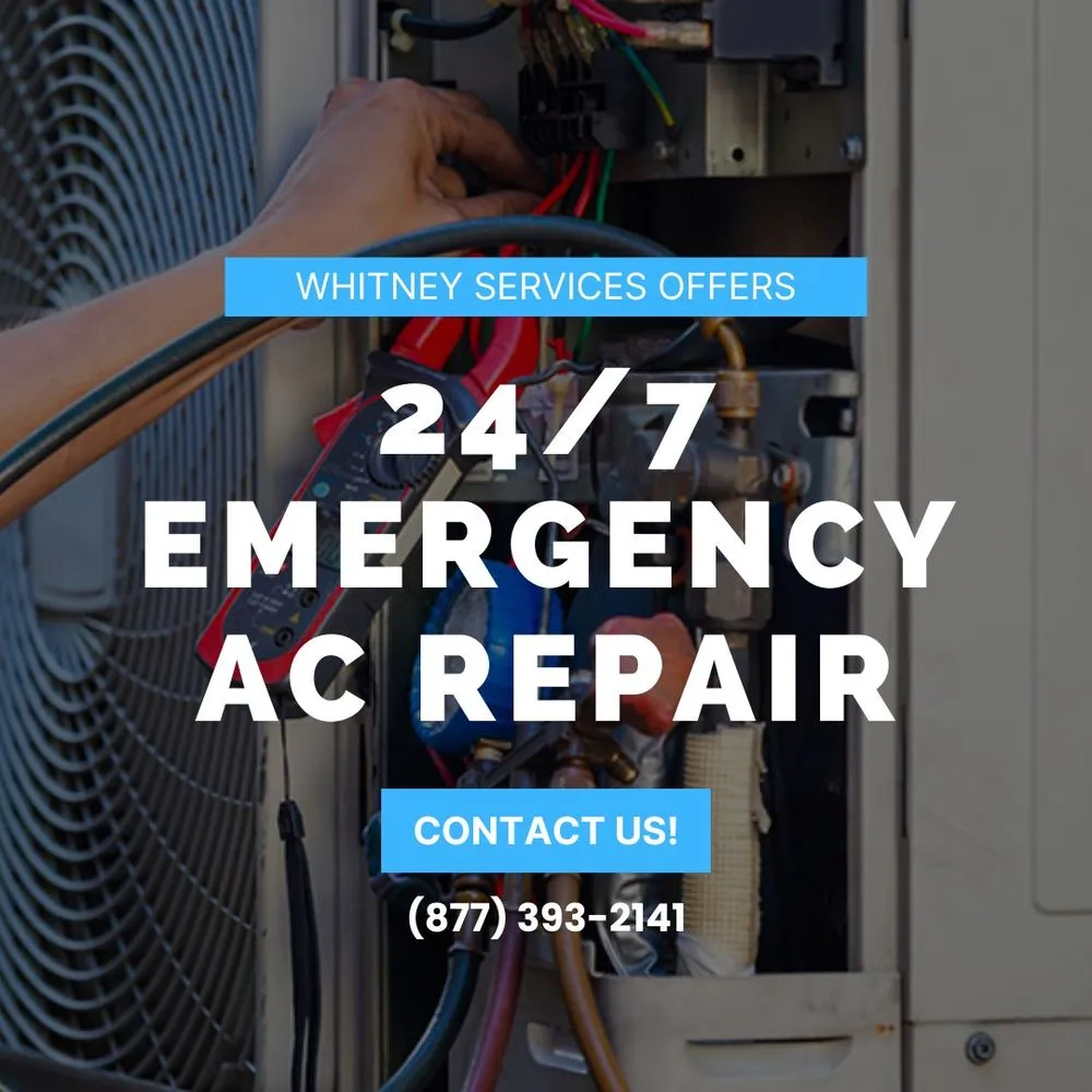 Slide of Whitney Services