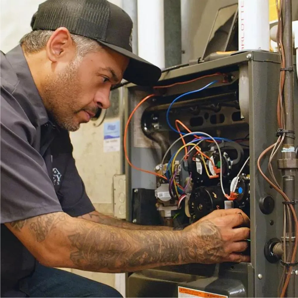 Slide of Whitney Services