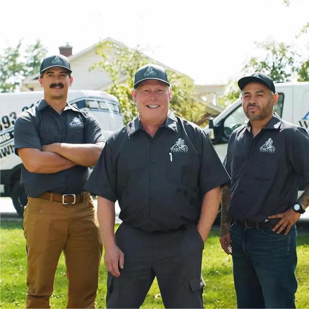 Slide of Whitney Services