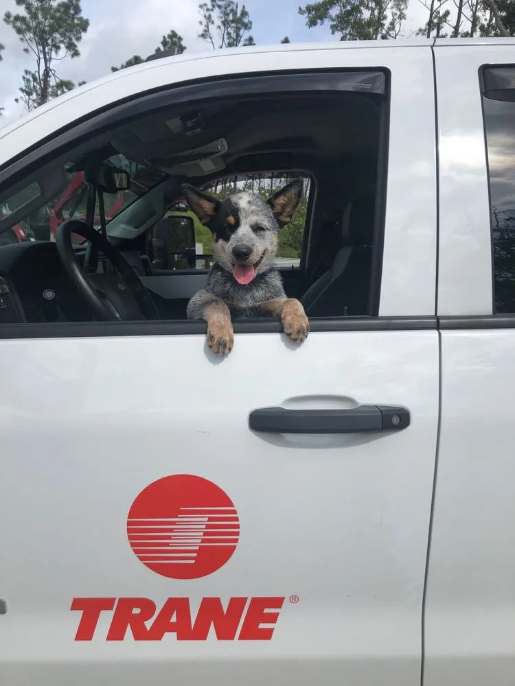 Slide of Whittiker AC & Heating