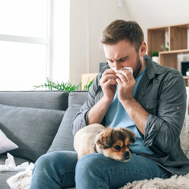Slide of Whole House Fans Orange County