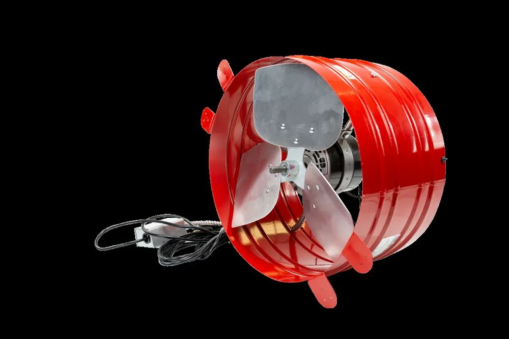 Slide of Wholehouse Fan Man