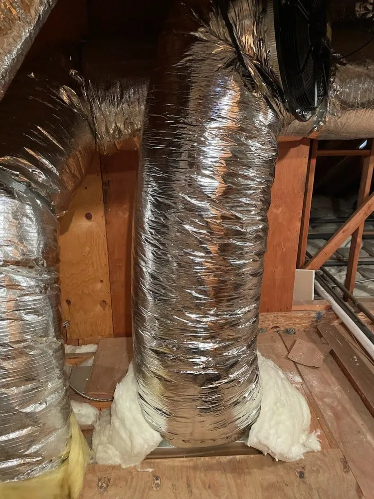 Slide of Wholehouse Fan Man