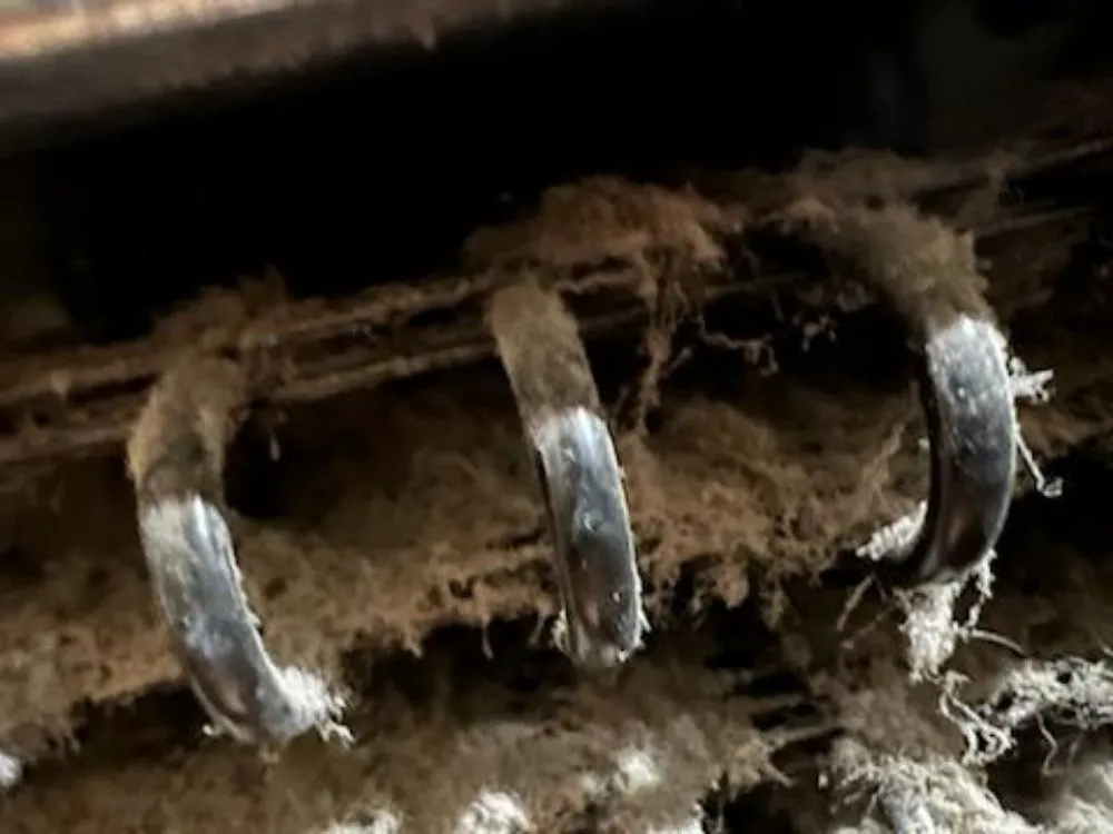 Slide of Who's Hot & Who's Not HVAC & Appliance Repair