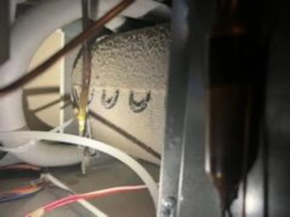 Slide of Who's Hot & Who's Not HVAC & Appliance Repair