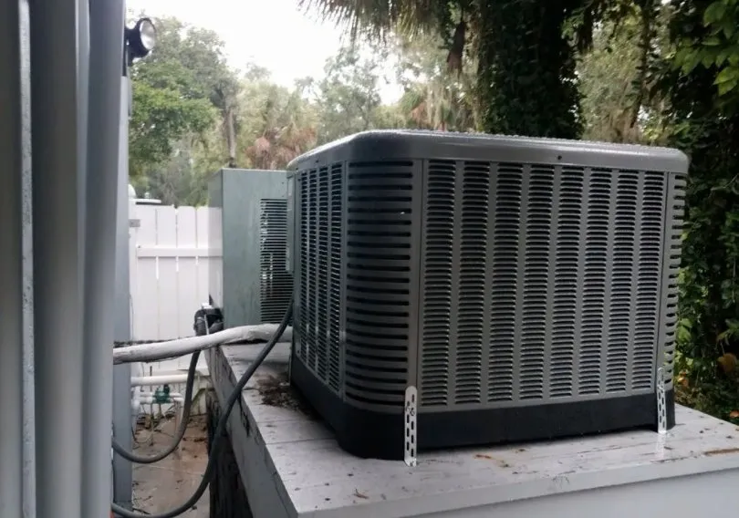 Slide of Who's The Man