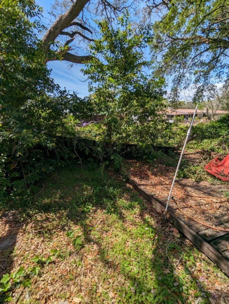 Slide of Wicker Bills