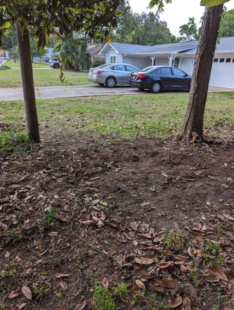 Slide of Wicker Bills