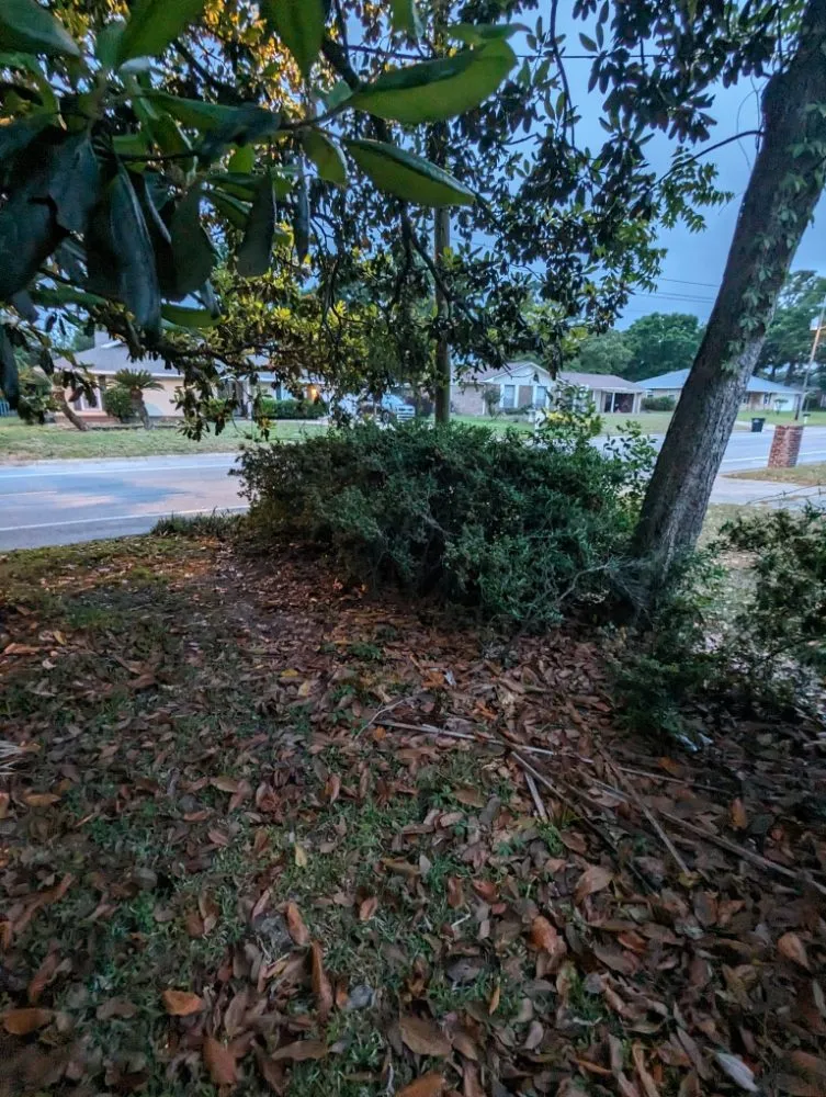 Slide of Wicker Bills