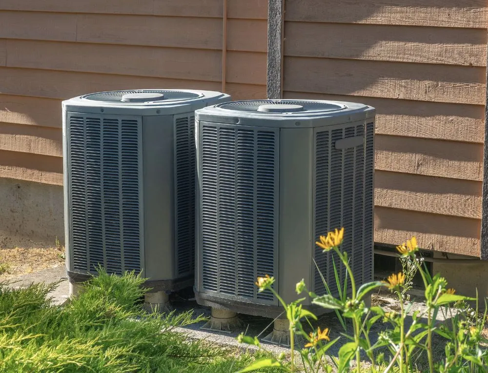 Slide of Wicker Bills