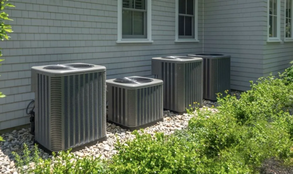 Slide of Wicker Bills