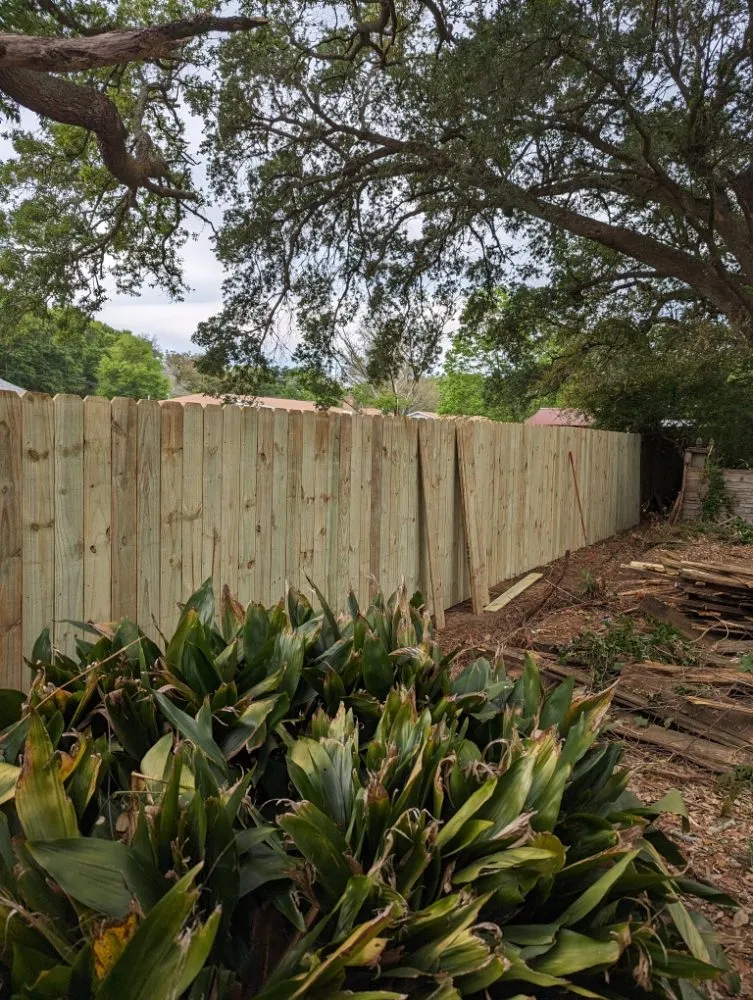 Slide of Wicker Bills