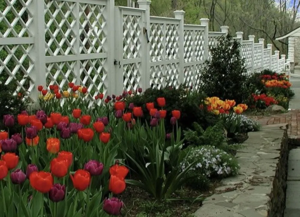 Slide of Wicker Bills