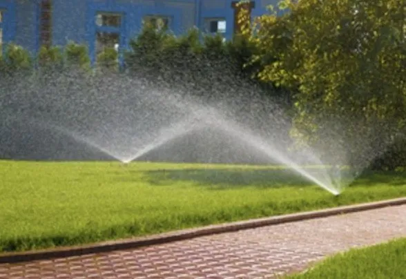 Slide of Wicker Bills