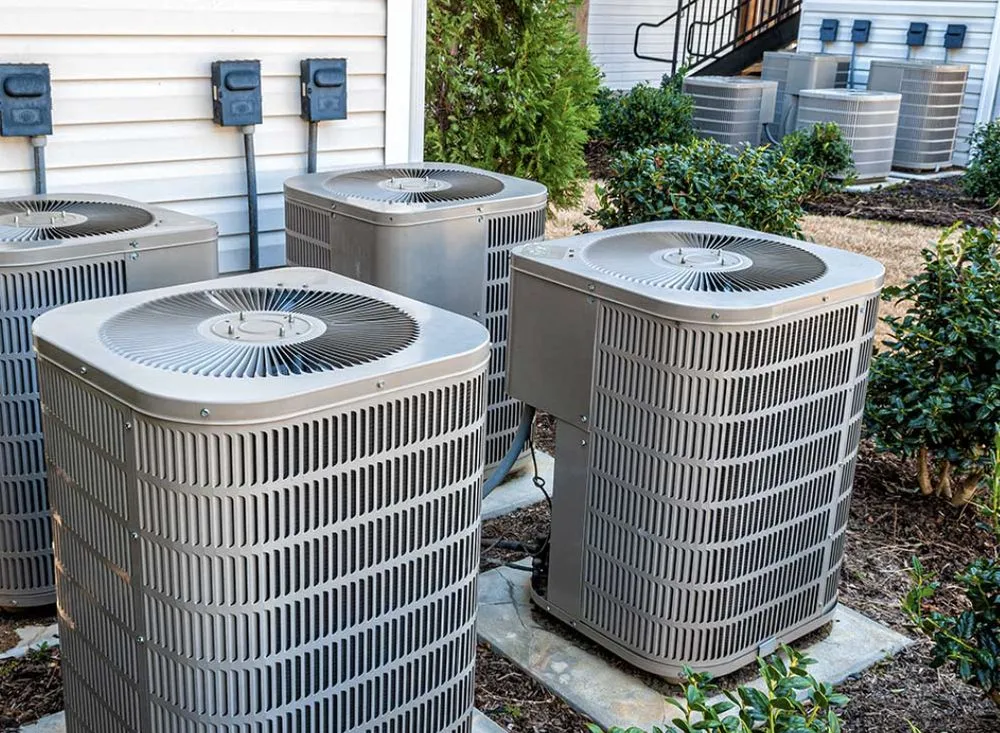 Slide of Wicker Bills