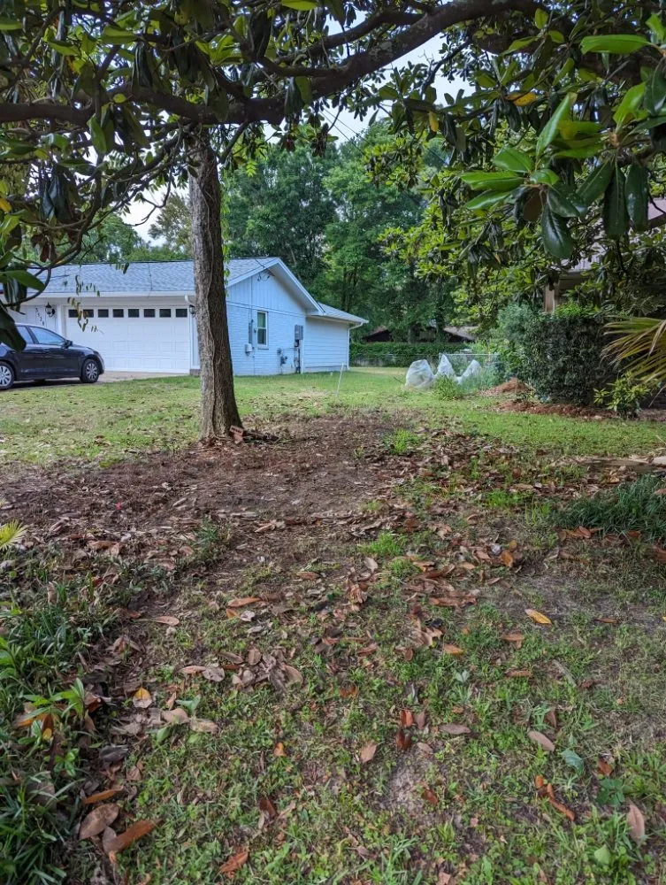 Slide of Wicker Bills