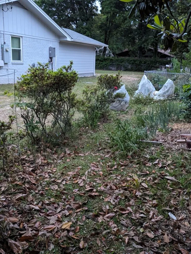 Slide of Wicker Bills