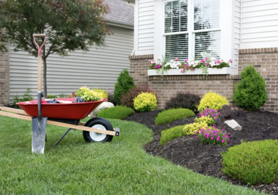 Slide of Wicker Bills