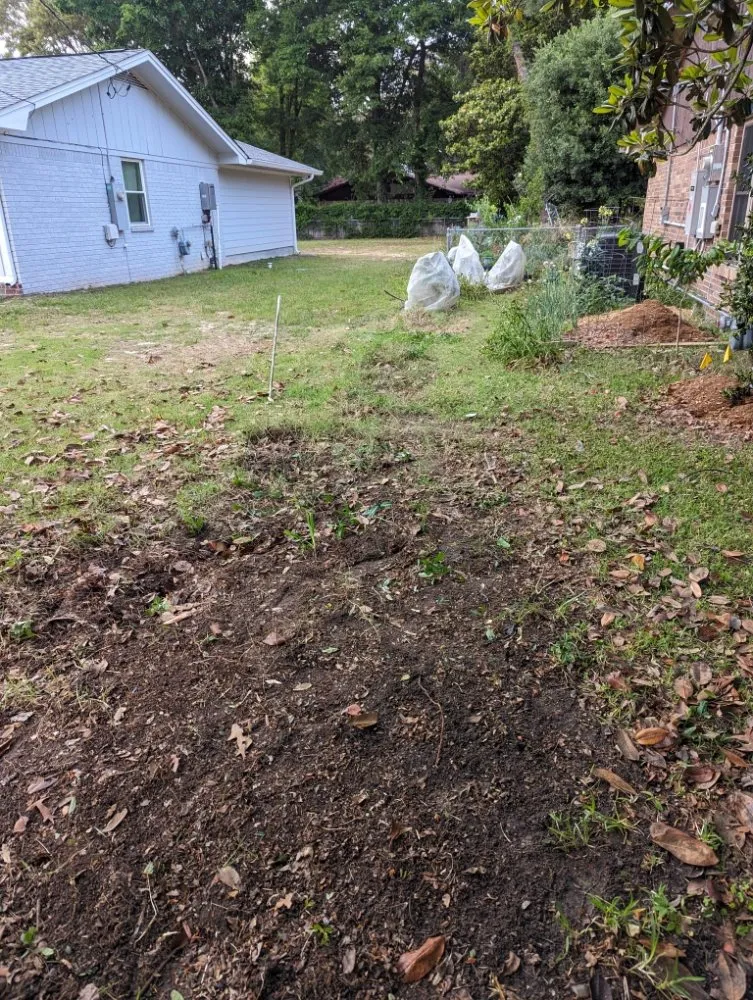 Slide of Wicker Bills