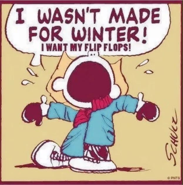 Slide of Wilcox Energy