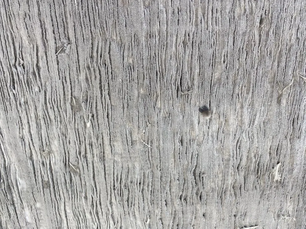 Slide of Wildcat Heating & Cooling