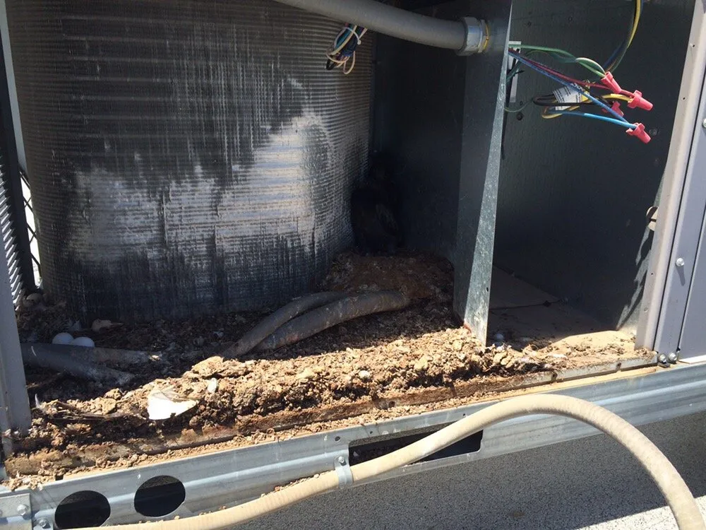 Slide of Wildcat Heating & Cooling