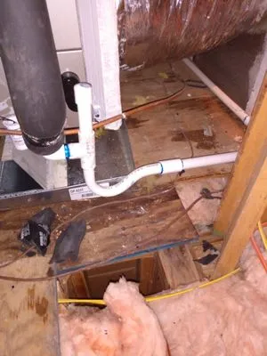 Wilkinson Home Comfort Solutions Logo