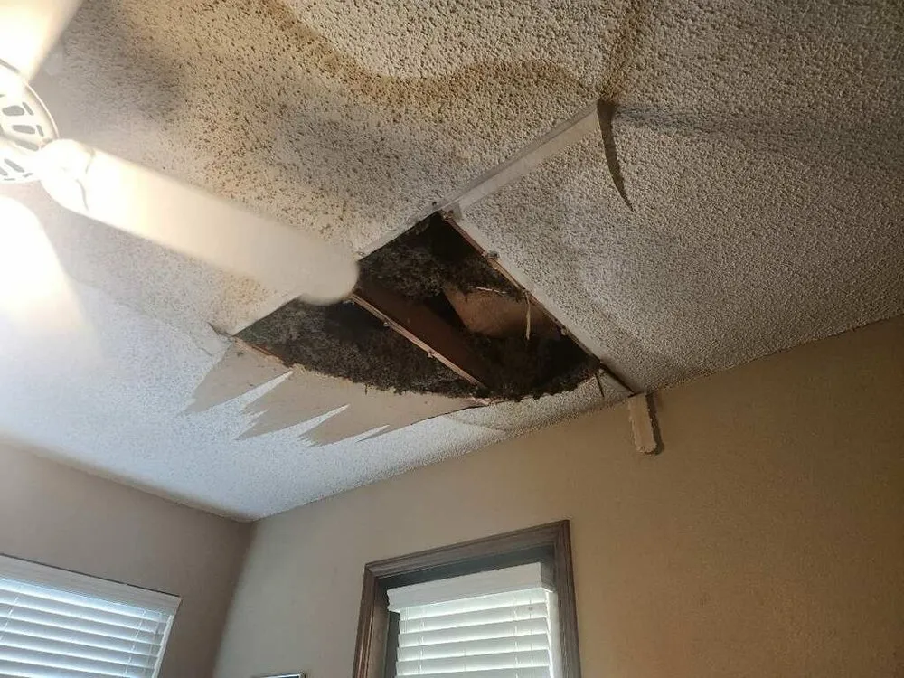 Slide of Will Fix It